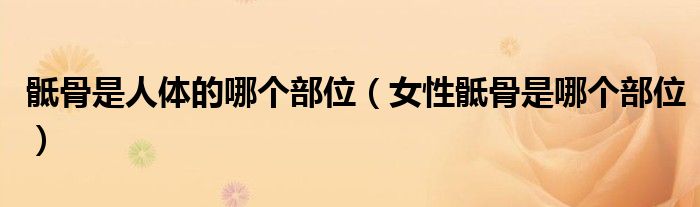 骶骨是人體的哪個(gè)部位（女性骶骨是哪個(gè)部位）
