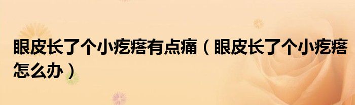 眼皮長了個小疙瘩有點痛（眼皮長了個小疙瘩怎么辦）
