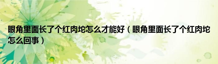 眼角里面長(zhǎng)了個(gè)紅肉坨怎么才能好（眼角里面長(zhǎng)了個(gè)紅肉坨怎么回事）