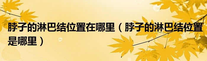 脖子的淋巴結(jié)位置在哪里（脖子的淋巴結(jié)位置是哪里）