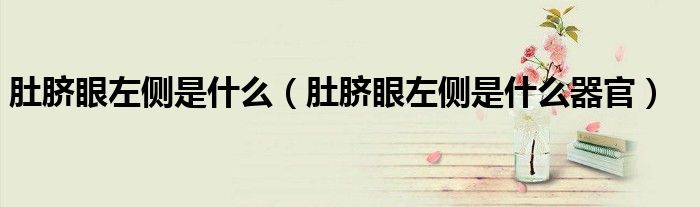 肚臍眼左側(cè)是什么（肚臍眼左側(cè)是什么器官）