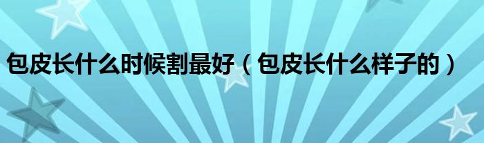 包皮長什么時(shí)候割最好（包皮長什么樣子的）