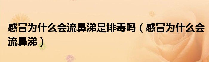 感冒為什么會流鼻涕是排毒嗎（感冒為什么會流鼻涕）