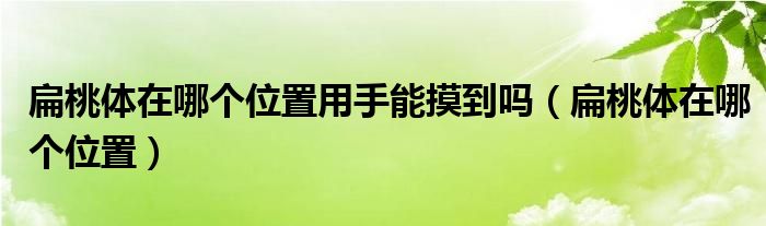 扁桃體在哪個(gè)位置用手能摸到嗎（扁桃體在哪個(gè)位置）