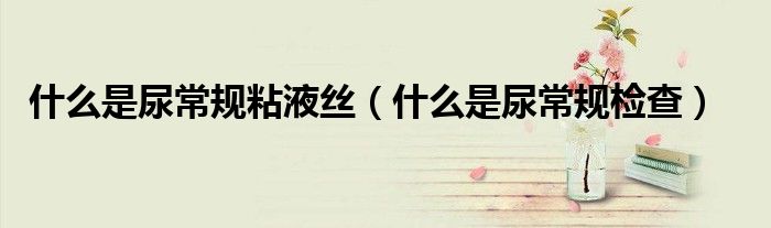 什么是尿常規(guī)粘液絲（什么是尿常規(guī)檢查）