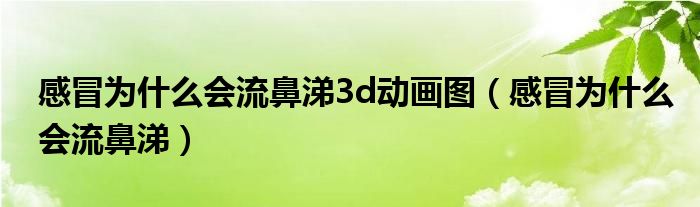 感冒為什么會流鼻涕3d動畫圖（感冒為什么會流鼻涕）