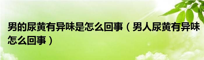 男的尿黃有異味是怎么回事（男人尿黃有異味怎么回事）
