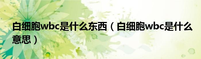 白細(xì)胞wbc是什么東西（白細(xì)胞wbc是什么意思）