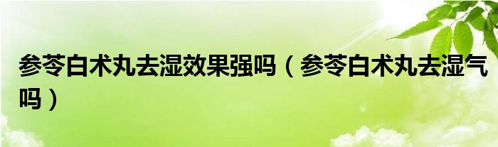 參苓白術(shù)丸去濕效果強(qiáng)嗎（參苓白術(shù)丸去濕氣嗎）