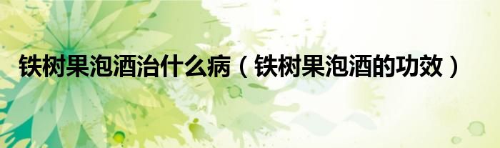 鐵樹果泡酒治什么?。ㄨF樹果泡酒的功效）