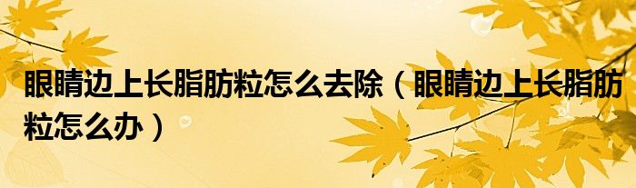 眼睛邊上長脂肪粒怎么去除（眼睛邊上長脂肪粒怎么辦）