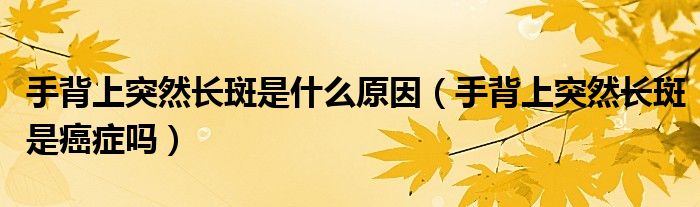 手背上突然長斑是什么原因（手背上突然長斑是癌癥嗎）