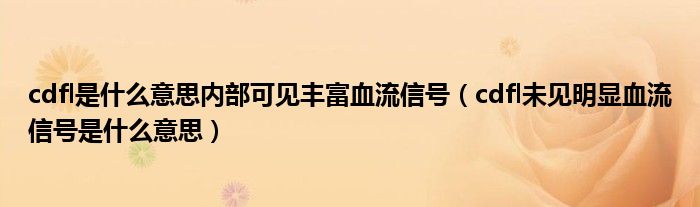 cdfl是什么意思內部可見豐富血流信號（cdfl未見明顯血流信號是什么意思）