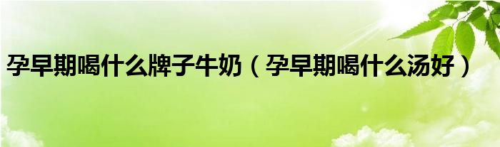 孕早期喝什么牌子牛奶（孕早期喝什么湯好）