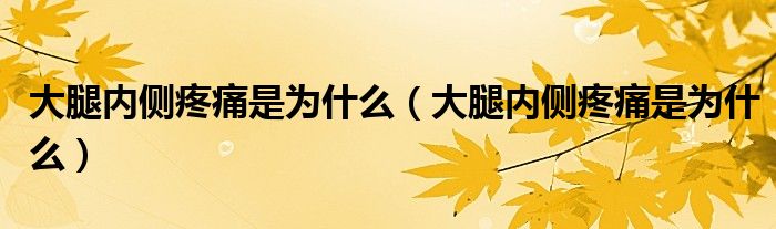 大腿內(nèi)側(cè)疼痛是為什么（大腿內(nèi)側(cè)疼痛是為什么）