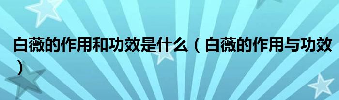 白薇的作用和功效是什么（白薇的作用與功效）