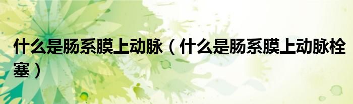 什么是腸系膜上動(dòng)脈（什么是腸系膜上動(dòng)脈栓塞）