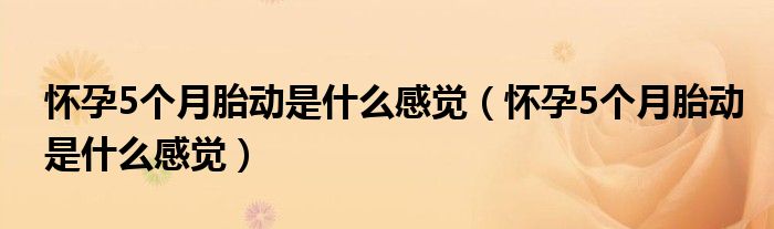 懷孕5個月胎動是什么感覺（懷孕5個月胎動是什么感覺）