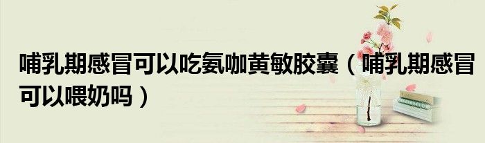 哺乳期感冒可以吃氨咖黃敏膠囊（哺乳期感冒可以喂奶嗎）