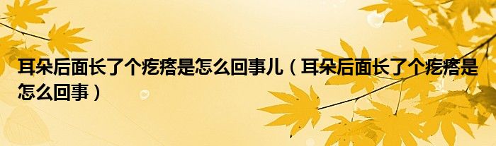 耳朵后面長了個疙瘩是怎么回事兒（耳朵后面長了個疙瘩是怎么回事）