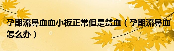 孕期流鼻血血小板正常但是貧血（孕期流鼻血怎么辦）