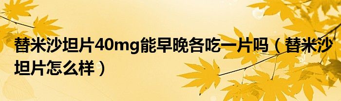 替米沙坦片40mg能早晚各吃一片嗎(替米沙坦片怎么樣)