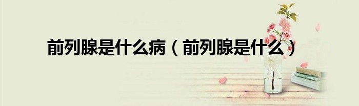 前列腺是什么?。ㄇ傲邢偈鞘裁矗?class='thumb lazy' /></a>
		    <header>
		<h2><a  href=