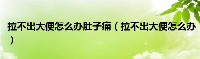 拉不出大便怎么辦肚子痛（拉不出大便怎么辦）