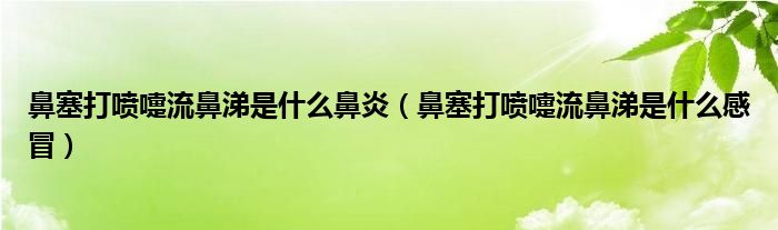 鼻塞打噴嚏流鼻涕是什么鼻炎（鼻塞打噴嚏流鼻涕是什么感冒）