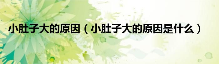小肚子大的原因（小肚子大的原因是什么）