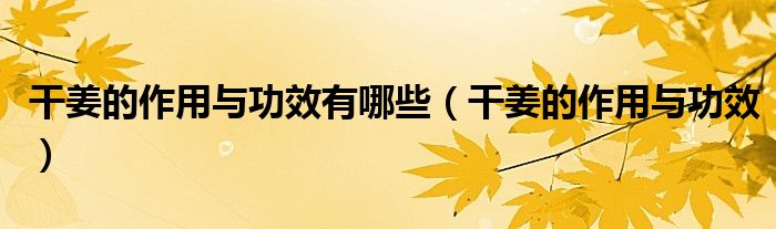 干姜的作用與功效有哪些（干姜的作用與功效）