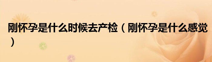 剛懷孕是什么時候去產檢（剛懷孕是什么感覺）