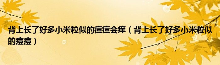 背上長了好多小米粒似的痘痘會癢（背上長了好多小米粒似的痘痘）