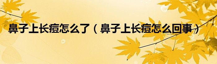 鼻子上長痘怎么了（鼻子上長痘怎么回事）
