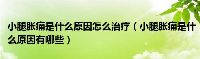 小腿脹痛是什么原因怎么治療（小腿脹痛是什么原因有哪些）