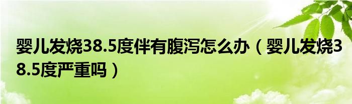 嬰兒發(fā)燒38.5度伴有腹瀉怎么辦（嬰兒發(fā)燒38.5度嚴(yán)重嗎）