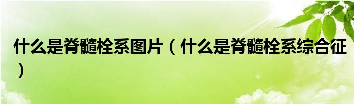 什么是脊髓栓系圖片（什么是脊髓栓系綜合征）