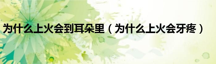 為什么上火會到耳朵里（為什么上火會牙疼）