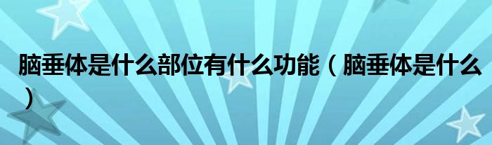 腦垂體是什么部位有什么功能（腦垂體是什么）