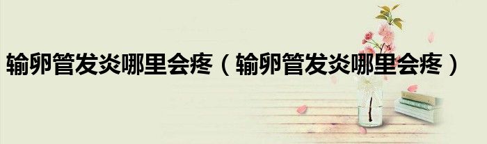 輸卵管發(fā)炎哪里會疼(輸卵管發(fā)炎哪里會疼)