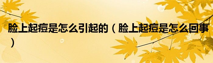 臉上起痘是怎么引起的（臉上起痘是怎么回事）