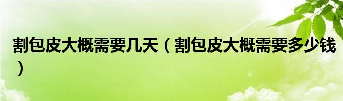 割包皮大概需要幾天（割包皮大概需要多少錢）