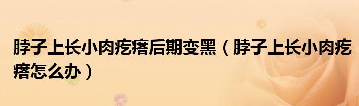 脖子上長(zhǎng)小肉疙瘩后期變黑（脖子上長(zhǎng)小肉疙瘩怎么辦）