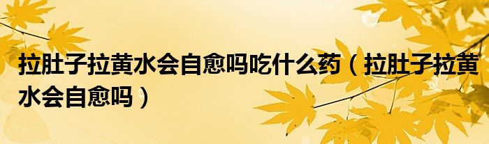 拉肚子拉黃水會自愈嗎吃什么藥（拉肚子拉黃水會自愈嗎）