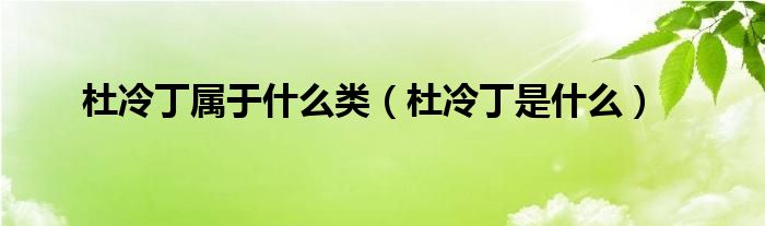 杜冷丁屬于什么類（杜冷丁是什么）