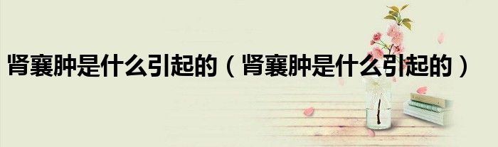 腎襄腫是什么引起的（腎襄腫是什么引起的）