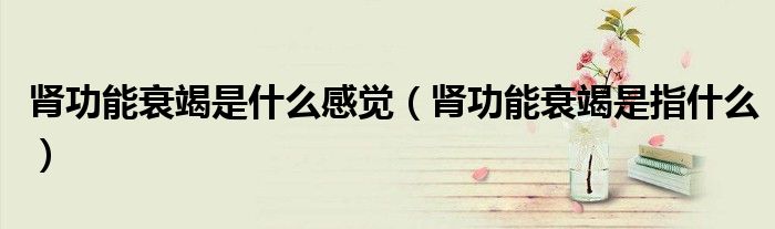 腎功能衰竭是什么感覺（腎功能衰竭是指什么）