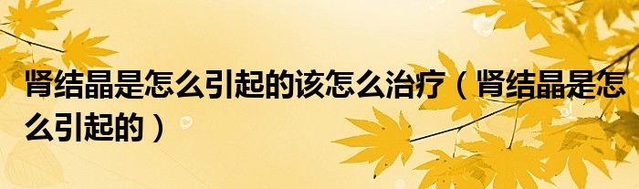 腎結(jié)晶是怎么引起的該怎么治療（腎結(jié)晶是怎么引起的）