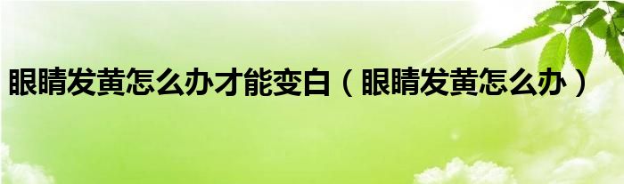 眼睛發(fā)黃怎么辦才能變白（眼睛發(fā)黃怎么辦）