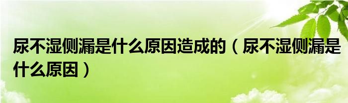 尿不濕側(cè)漏是什么原因造成的(尿不濕側(cè)漏是什么原因)